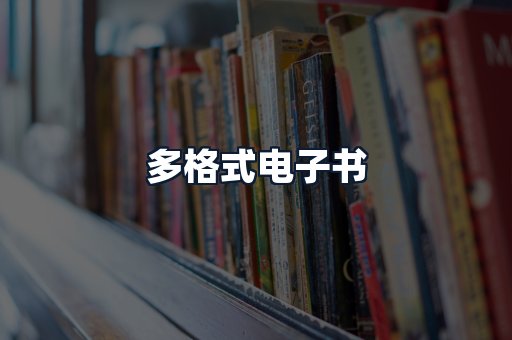 多格式电子书