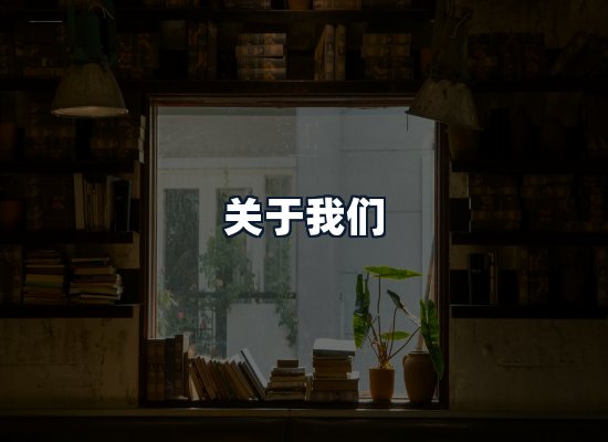 关于我们